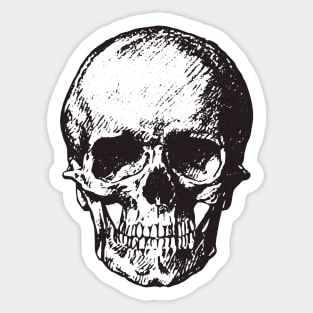 Skull Sketch Sticker